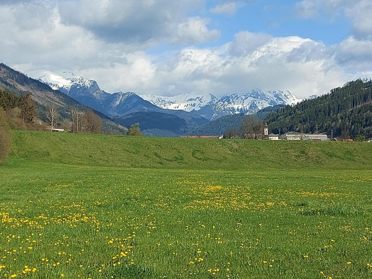 Apartamento Auszeit Steiraland 6 Mit Ueberdachter Terasse Schoenen Garten Und Kostenlosen Parkplatz Leoben  Exterior foto